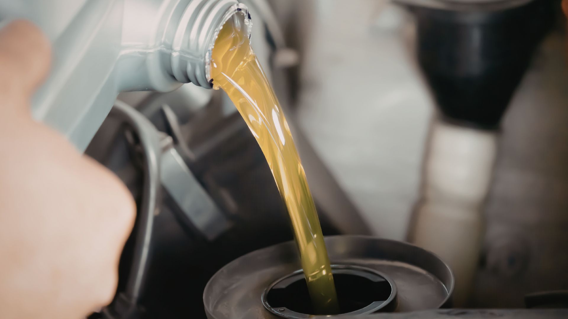 If My Car Is Leaking Oil, What Does That Mean? Find Out What to Do Fast